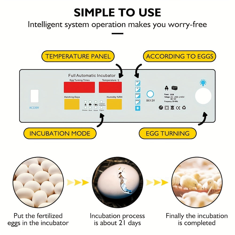 64-Egg Capacity Digital Egg Incubator with Automatic Turn and Temperature Control