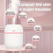 USB Facial Steamer Humidifier for Dry Oily Skin Ultrasonic Mist Desk Car