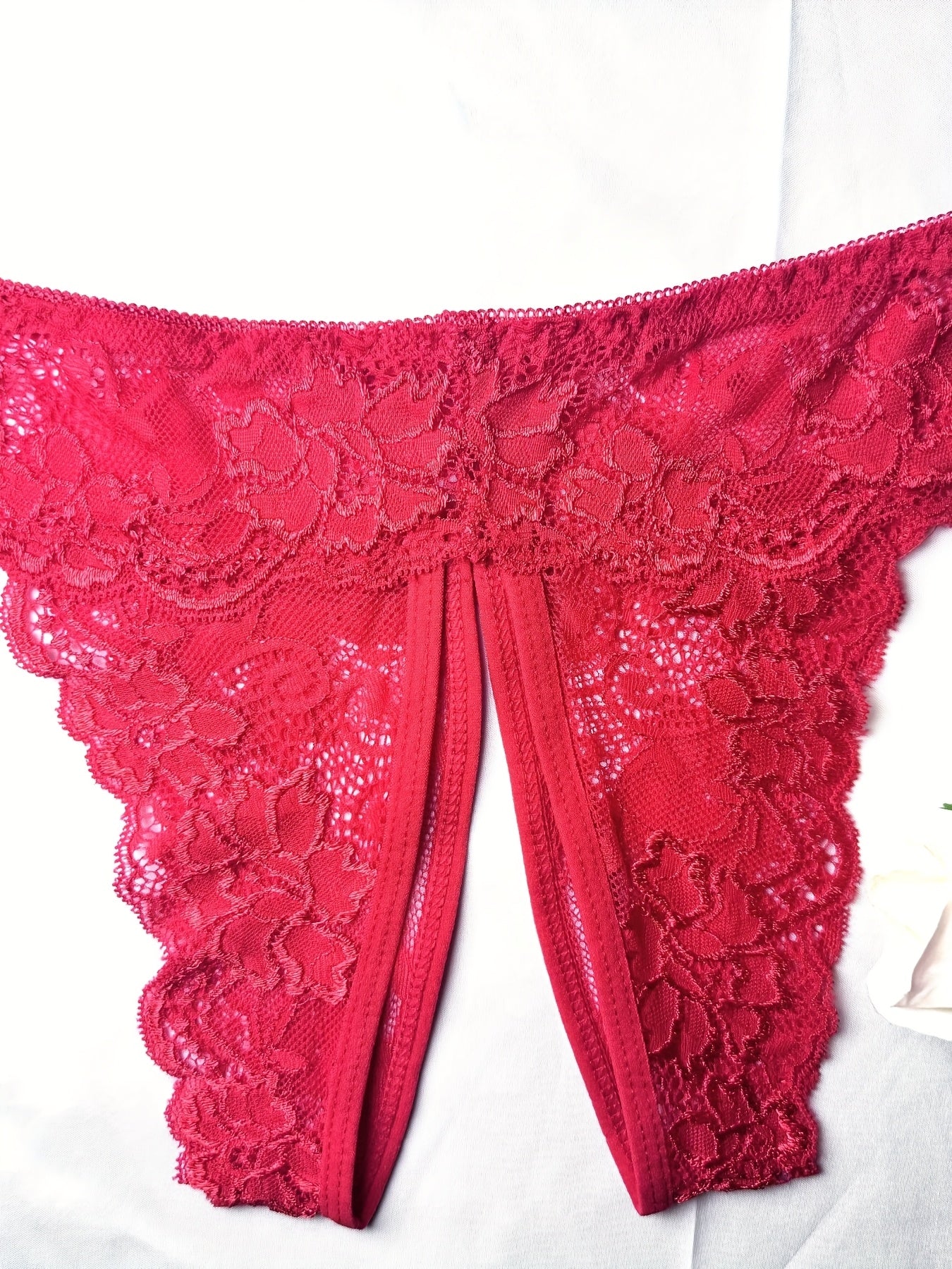Women's Lace Trim Triangle Lingerie and Mesh Open Crotch Panties