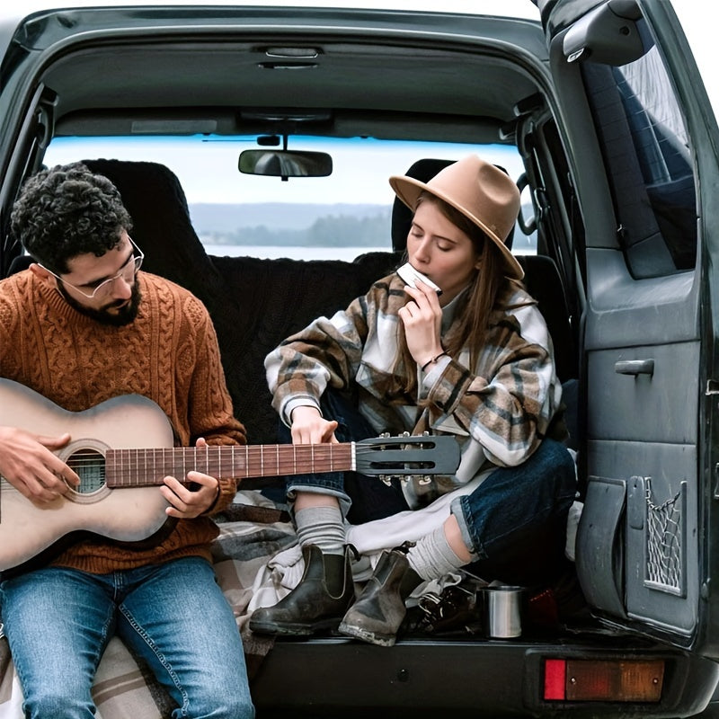 Stainless Steel 10-Hole Diatonic Harmonica Golden with Protective Case for Beginners