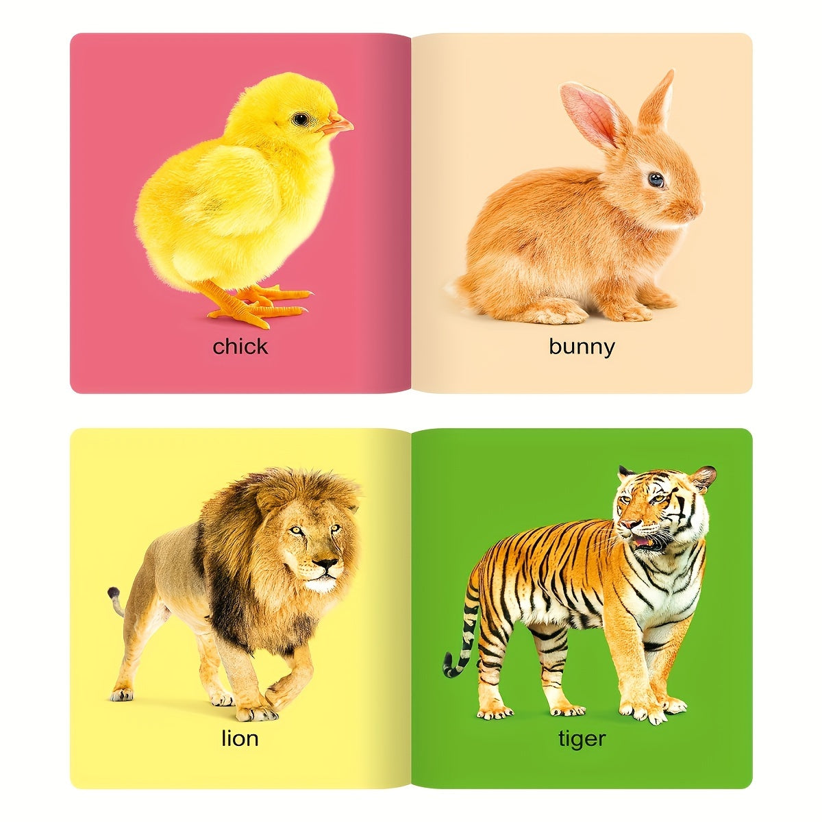 Set of 10 Children's Object Recognition Books in English with Apple Covers
