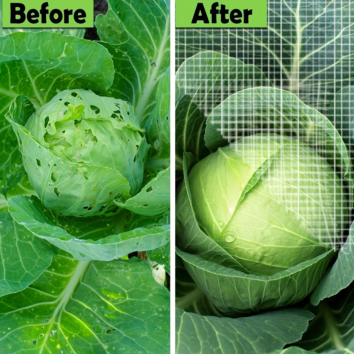 Fiberglass Greenhouse Support Hoops for DIY Plant Tunnels Garden Fabric Stakes Rust-Resistant