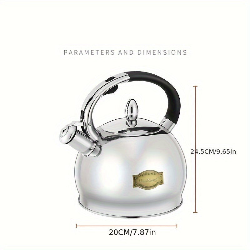 Stainless Steel 3L Gas Kettle with Creative Design for Open Flame Cooking