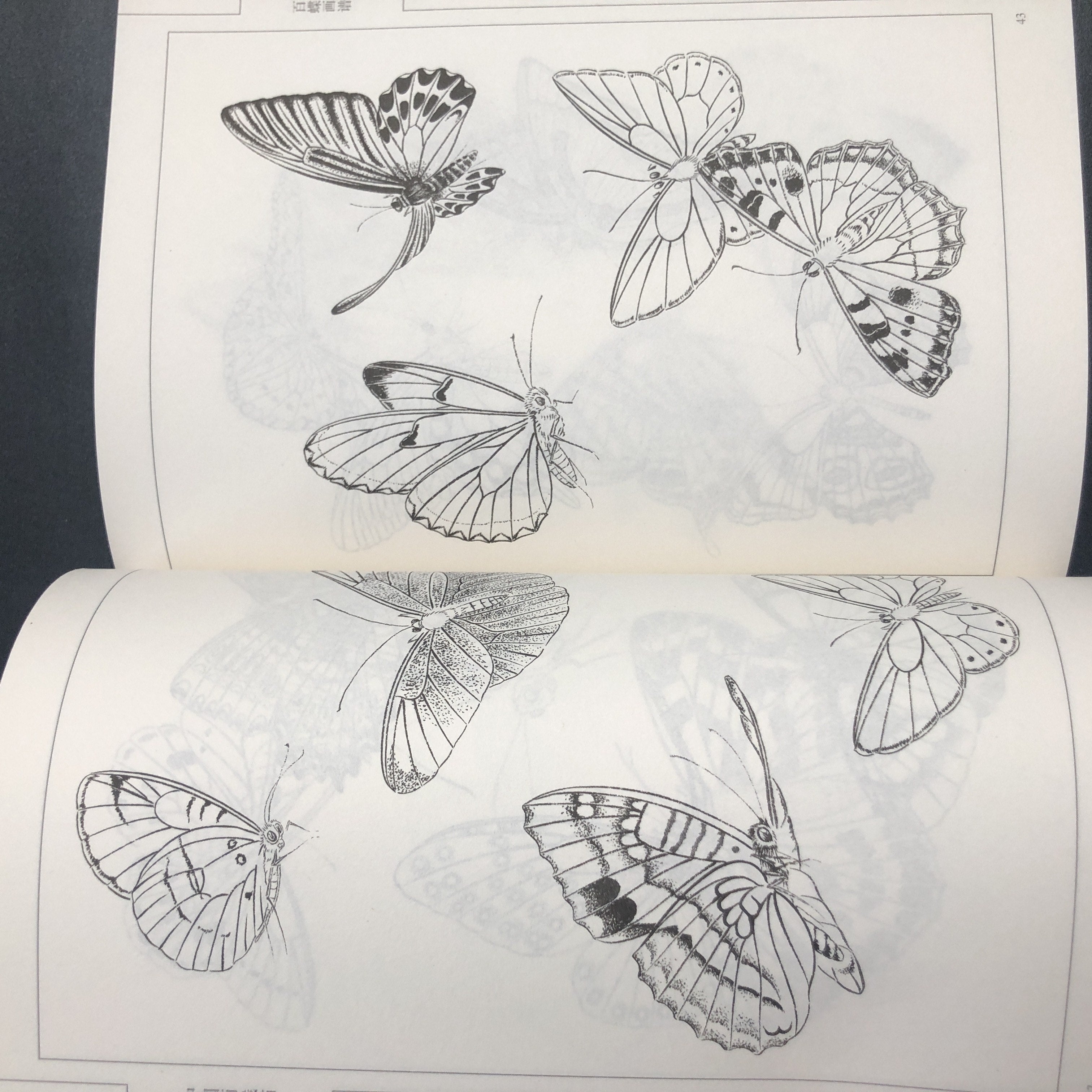 Chinese Painting Style Line Drawing Art Book of Hundred Butterflies