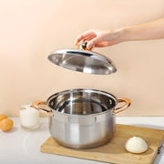 Yuqori sifatli zanglamas po'latdan yasalgan sho'rva qozoni - 5-qavatli pastki va ko'zgu qoplamasi bilan, induktsion pechlar uchun mos, qaynatmalar, souslar va shirinliklar tayyorlash uchun ideal.