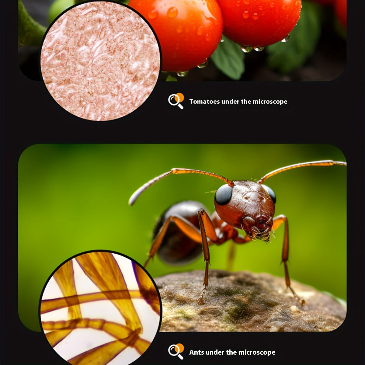 Mini microscopio de juguete con luz LED 60X-200X para exploración al aire libre de niños