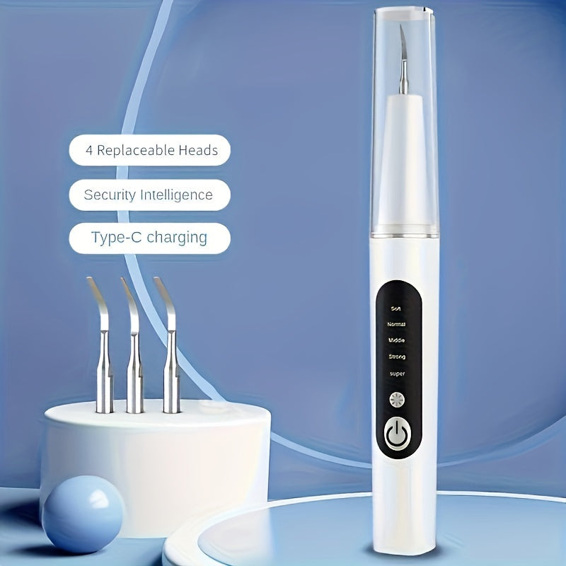 Tartar Remover Kit with LED Light and Replaceable Heads for Oral Health