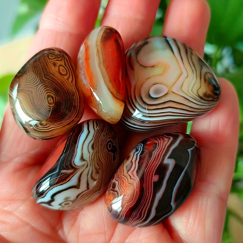 5-Donali Tabiiy Agat Toshi To'plami Gul idishlari, akvariumlar va bezaklar uchun