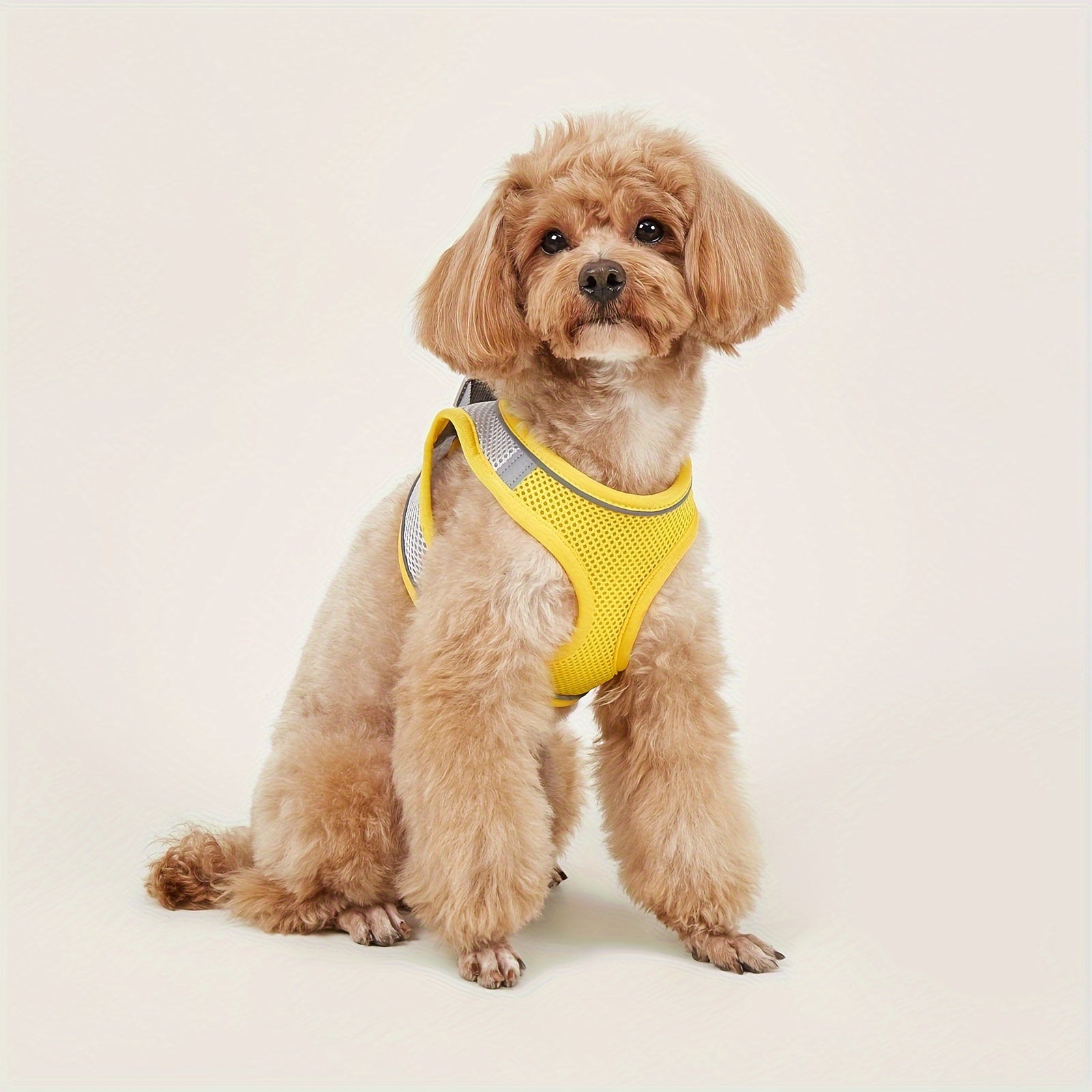 Soft Mesh Pet Harness for Small Dogs and Cats with Reflective Strip