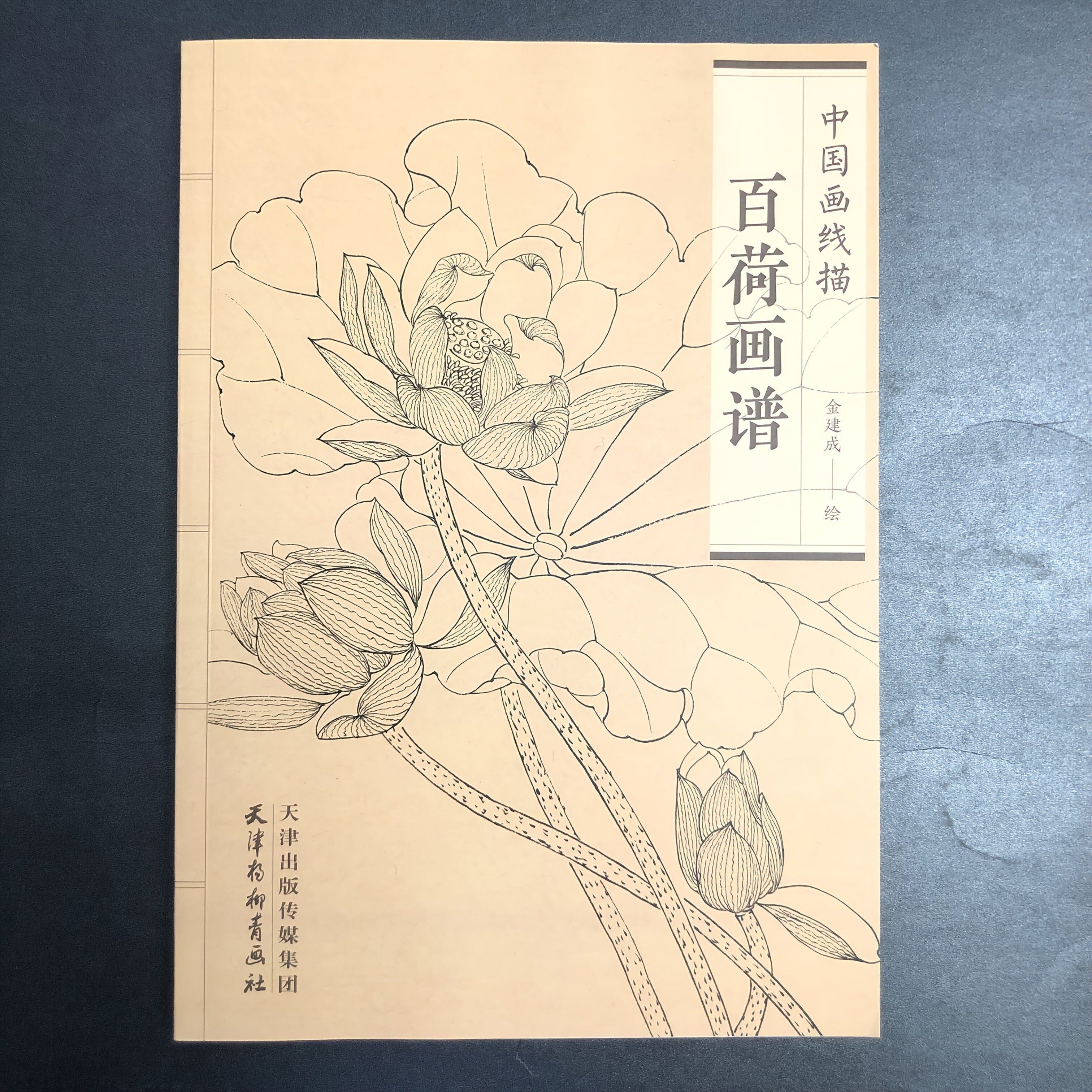 Chinese Traditional Art Painting Manual Paperback Chinese Language
