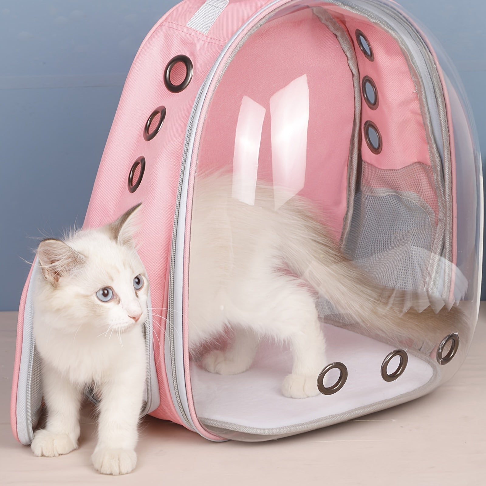 Mochila burbuja para mascotas para perros y gatos, transportín exterior con ventana de vista clara y ventilación