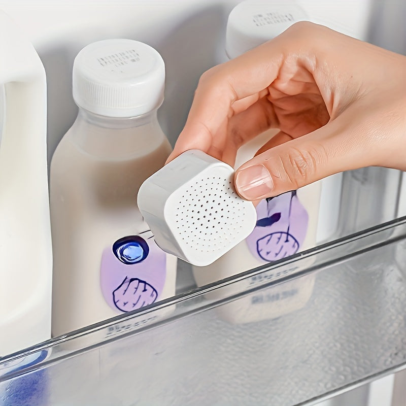 6 Pieces Activated Carbon Refrigerator Deodorizers for Odor Removal and Freshness