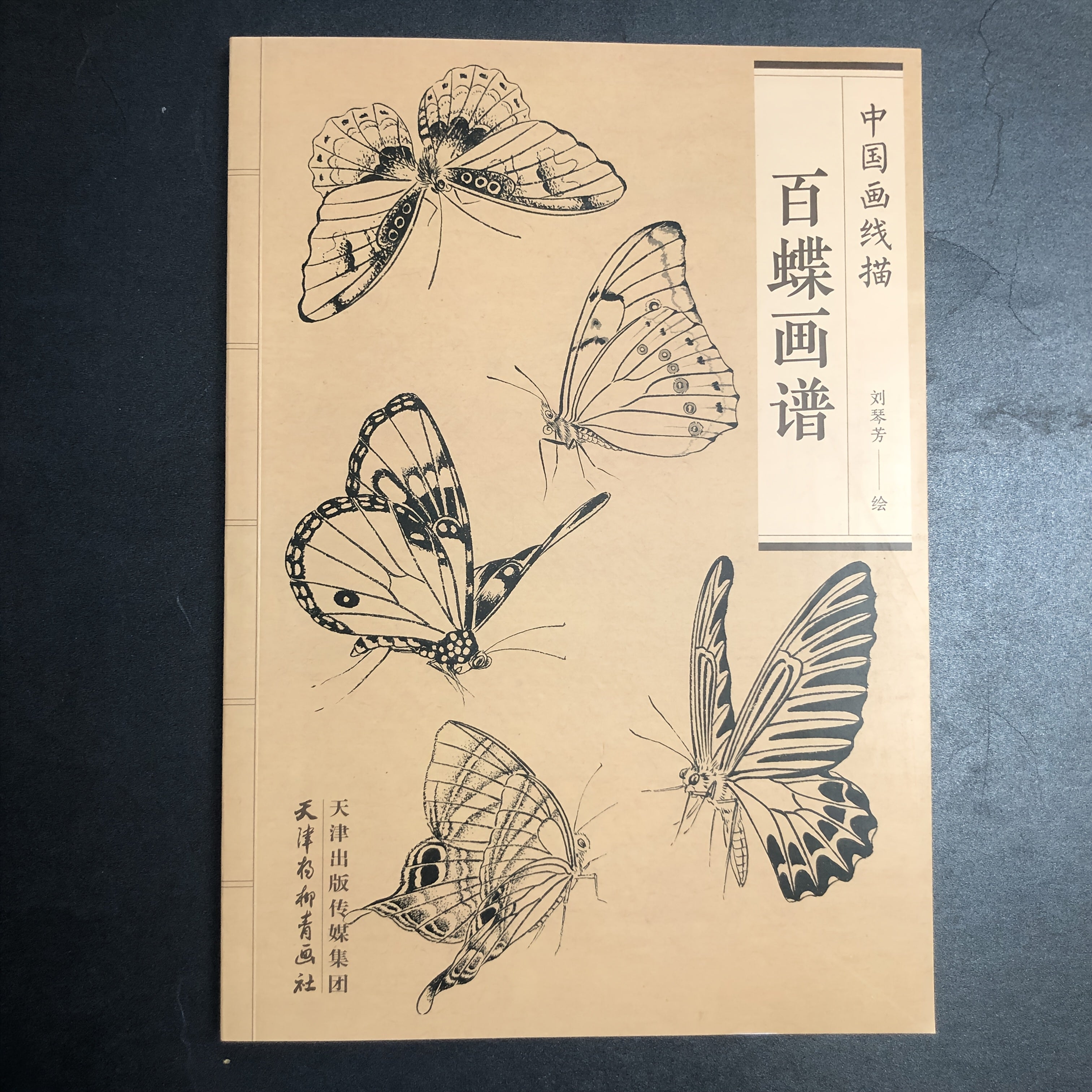 Chinese Painting Style Line Drawing Art Book of Hundred Butterflies
