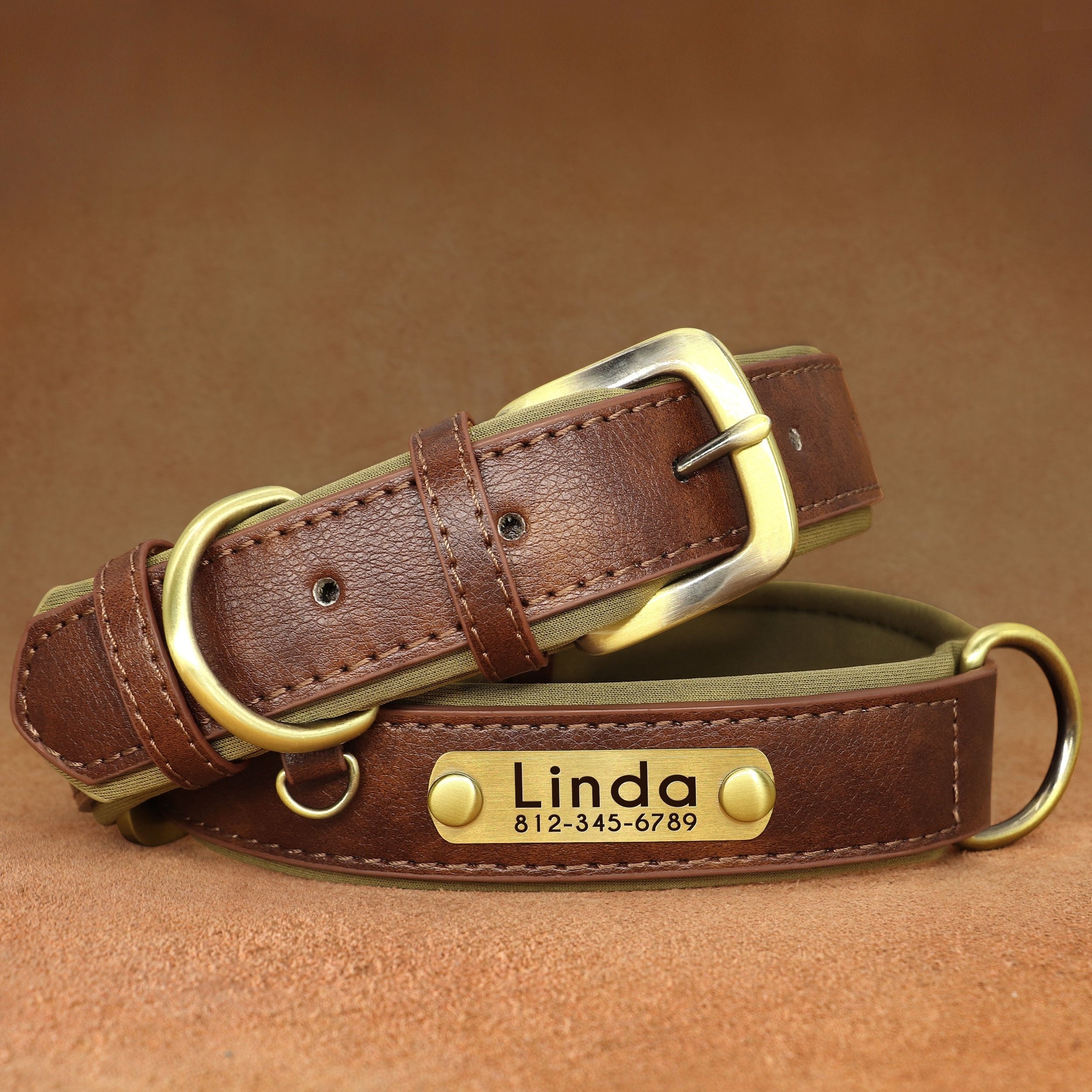 Customized Faux Leather Dog Collar with Neoprene Padding and Nameplate for Small to Medium Dogs