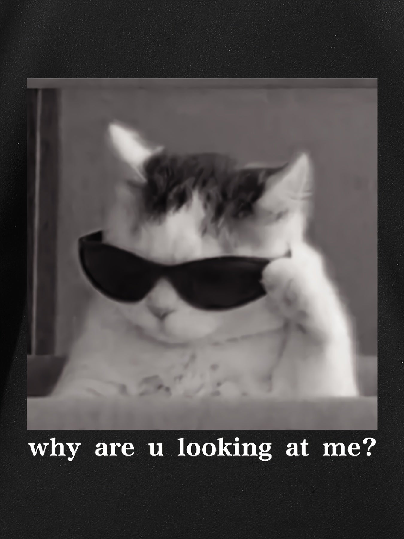 Мужская футболка большого размера с коротким рукавом и принтом кота, полиэстеровая смесь, повседневное лето