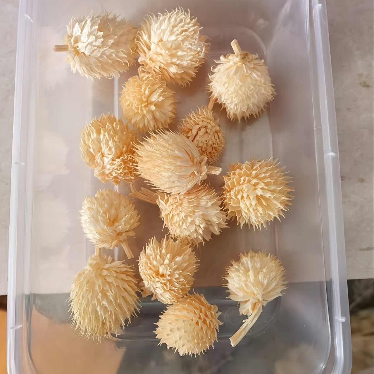 Бохо-Шик Рождественский Набор для Ремесел: Натуральный Растительный Декор для DIY Проектов, Венков и Подарков