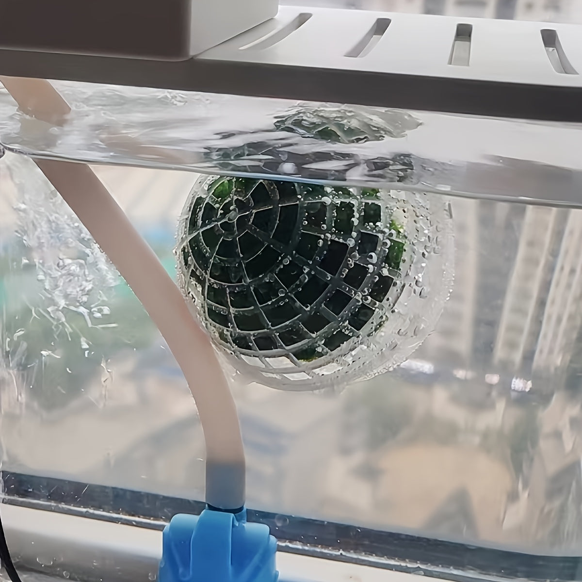 4pcs Moss Ball Holders for Fish Tank Decor High-Index Plastic Aquarium Accessories