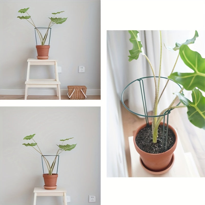 4/8 o'simlikni qo'llab-quvvatlash ustunlari, atirgul, peoniya, pomidor va gortensiya uchun metall yarim doira bog' qo'llab-quvvatlashlari. Ichki va tashqi gullarni qo'llab-quvvatlash ikki o'lchamda: 21.01 sm x 35.0 sm va 24.99 sm x 40.01 sm.