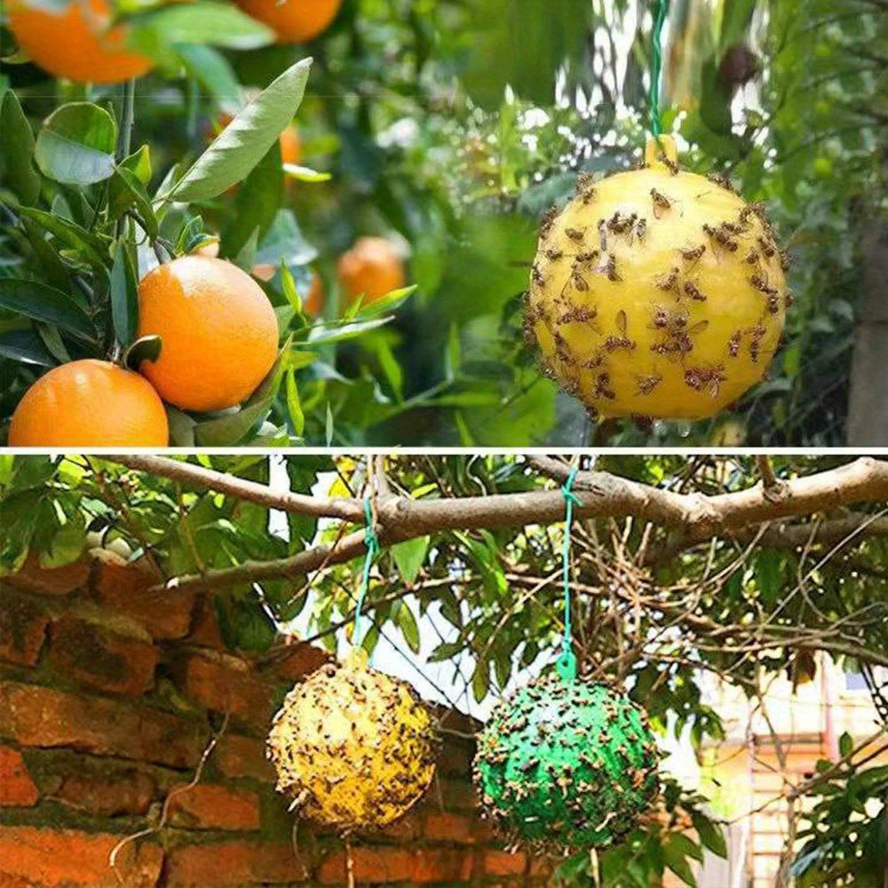Paquete de 2 trampas multiusos para insectos de la fruta para cocina, jardín y cítricos