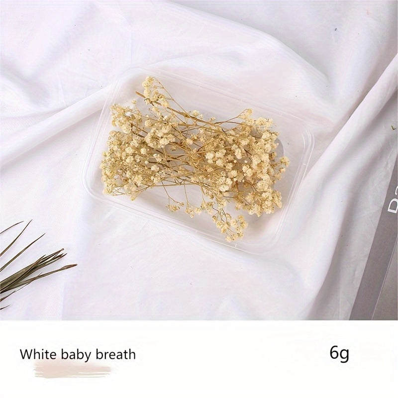 Бохо-Шик Рождественский Набор для Ремесел: Натуральный Растительный Декор для DIY Проектов, Венков и Подарков