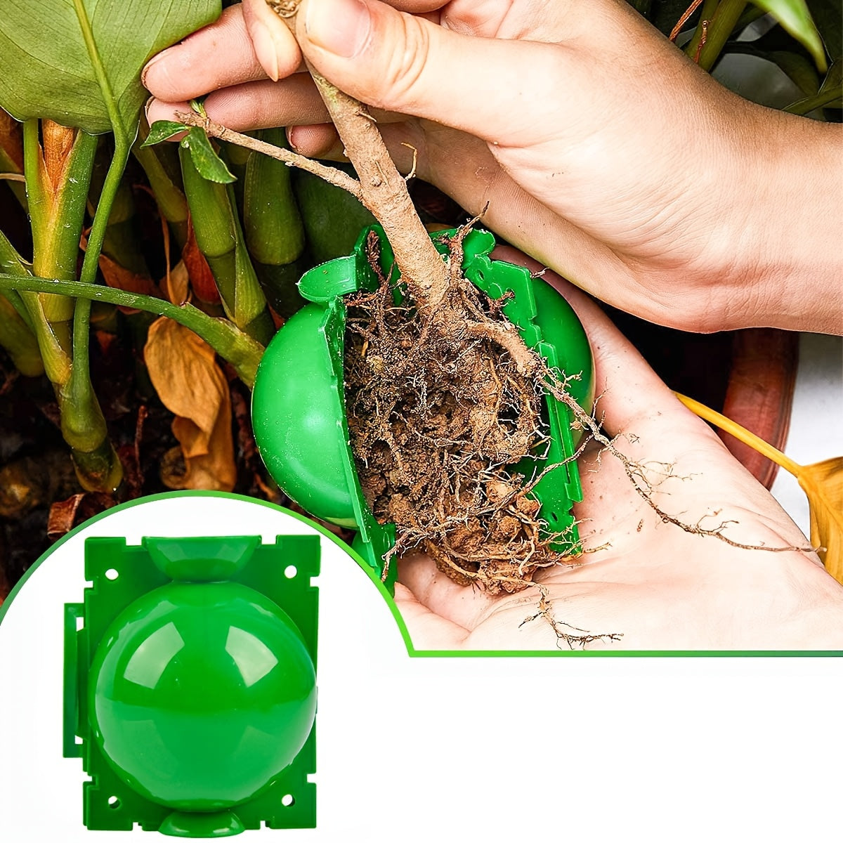 Reusable Plant Root Balls Kit for Grafting Roses and Garden Plants