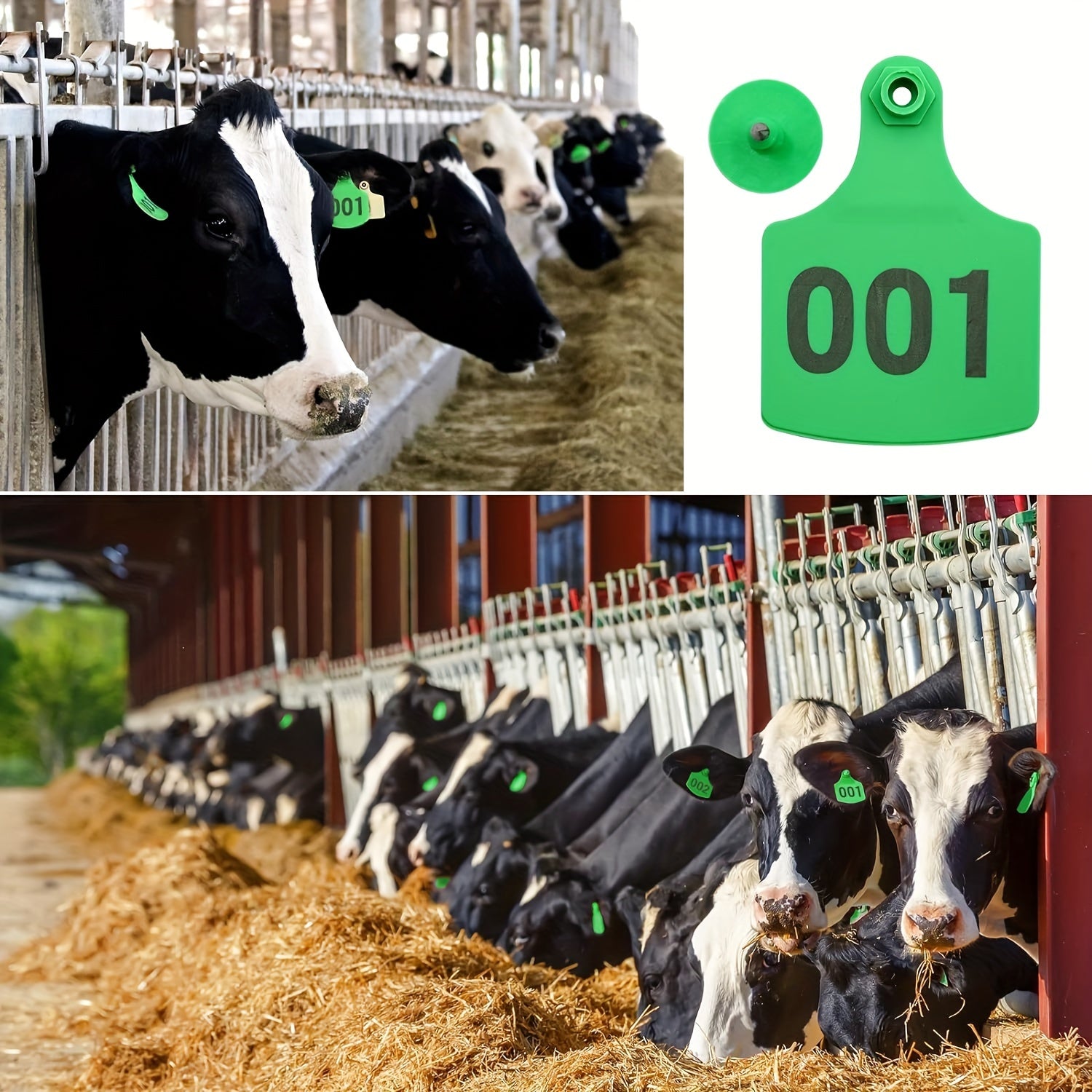 100 dona plastik chorva mollari uchun raqamlangan quloq belgilari, qoramol, qo'y, cho'chqa uchun, soch tushishini oldini oluvchi bilan