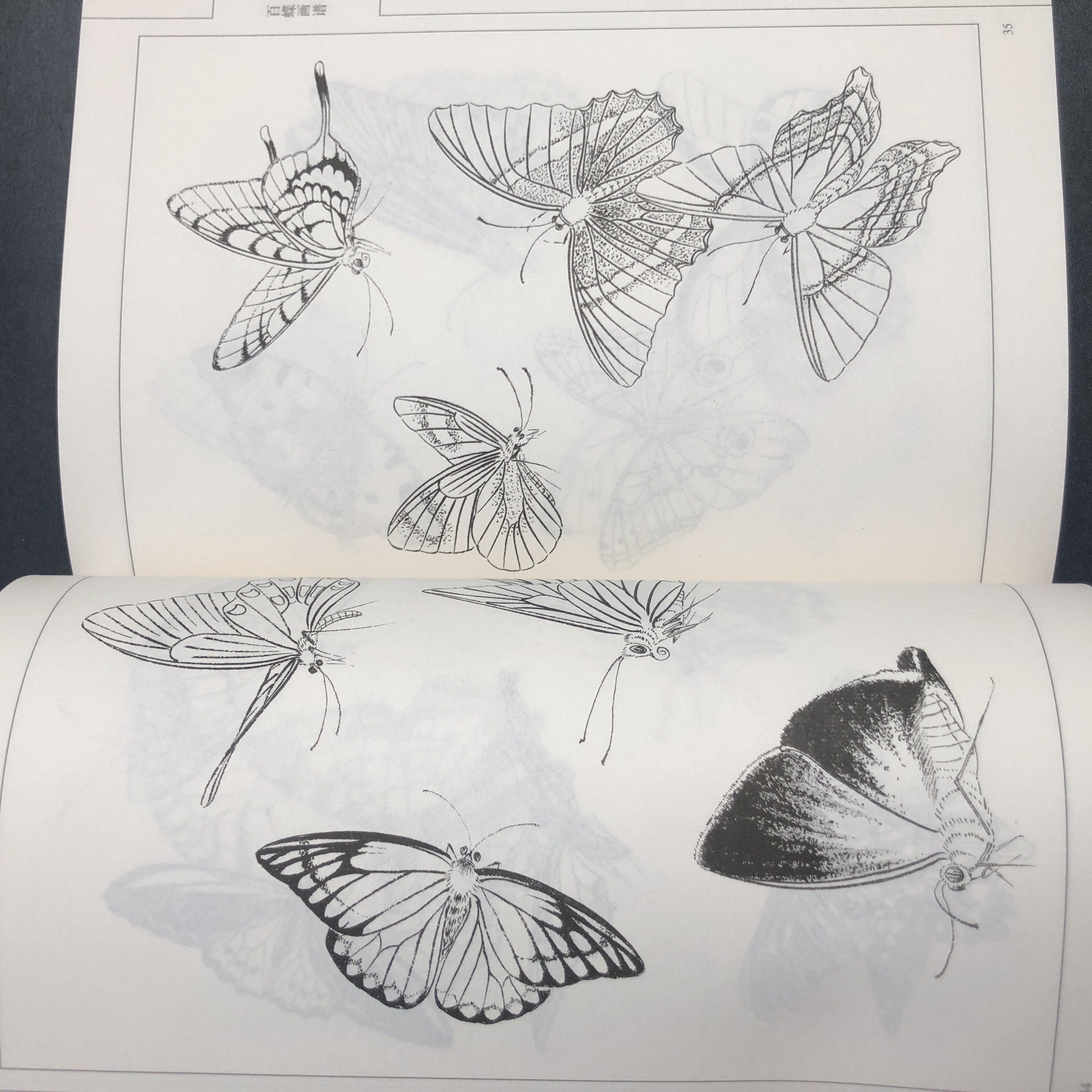 Chinese Painting Style Line Drawing Art Book of Hundred Butterflies