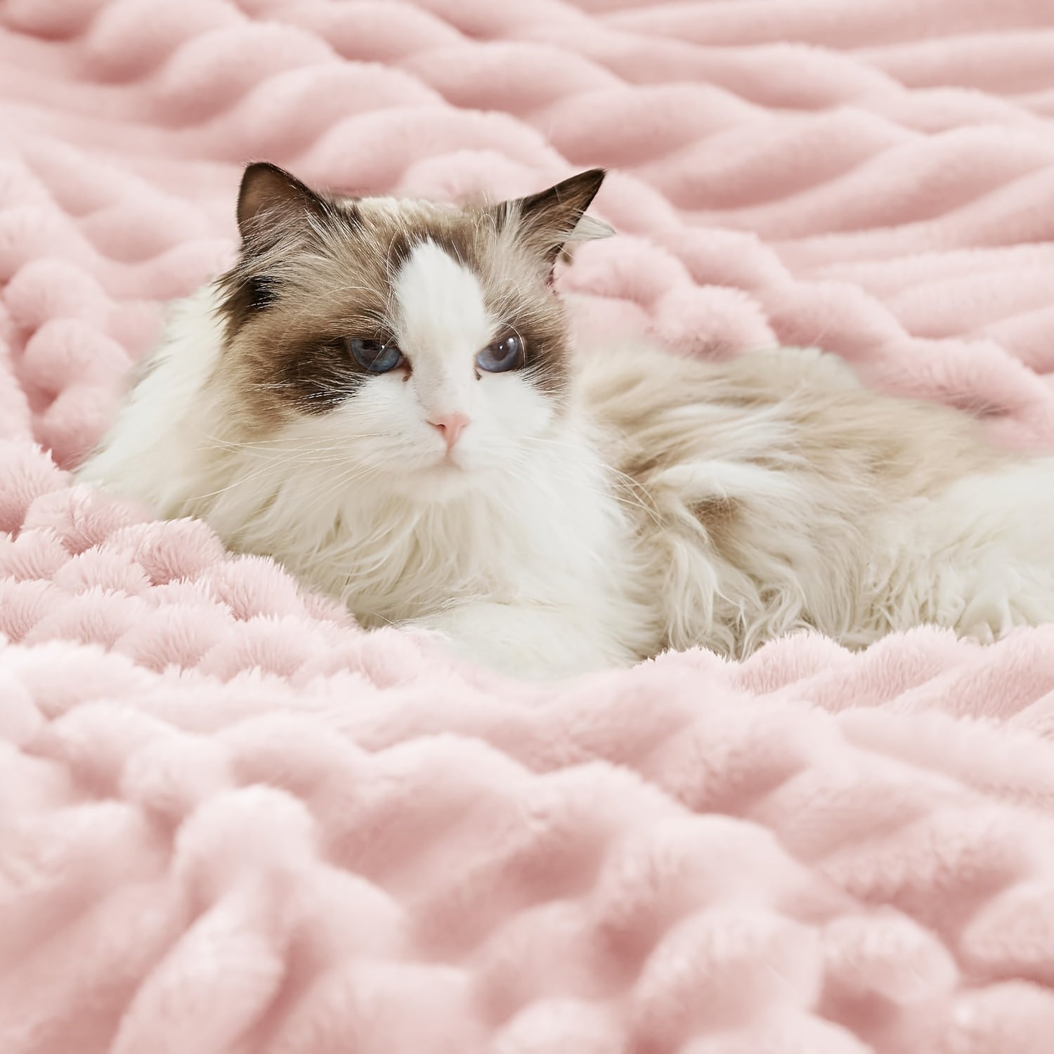 Yumshoq Sherpa Fleece Bolalar Ko'rligi - Qaytariladigan, Issiq va Qulay Har qanday Yoshdagi Bolalar uchun, O'g'il va Qizlar uchun Ideal Sovg'a, Mashinada Yuvish Mumkin - Pushti/Oq, 76.2cmx40