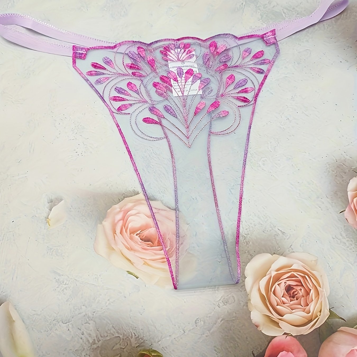 Women’s Blue Transparent Thong Panties with Net Embroidery and Pattern Design