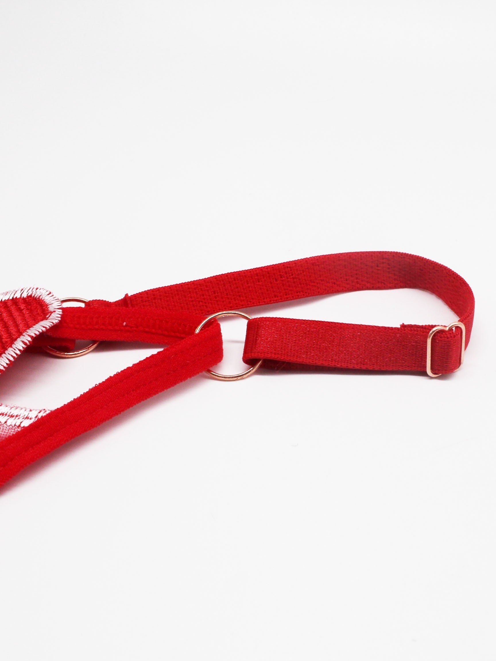 Women's Red Lace Thong with Sheer Mesh, Low-Rise, Breathable Lingerie