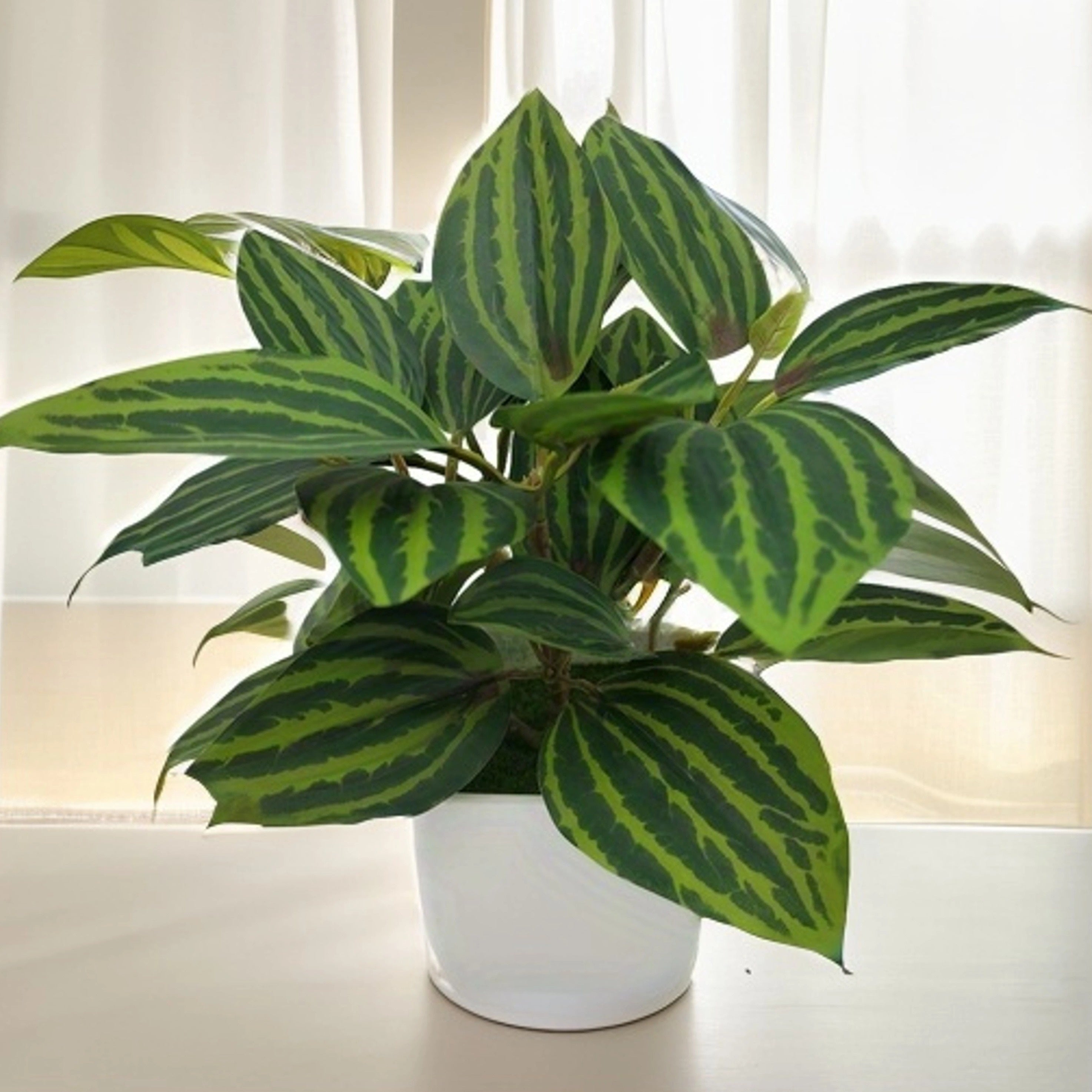 Set of 4 Small Artificial Eucalyptus Plants in White Planters for Indoor Decor