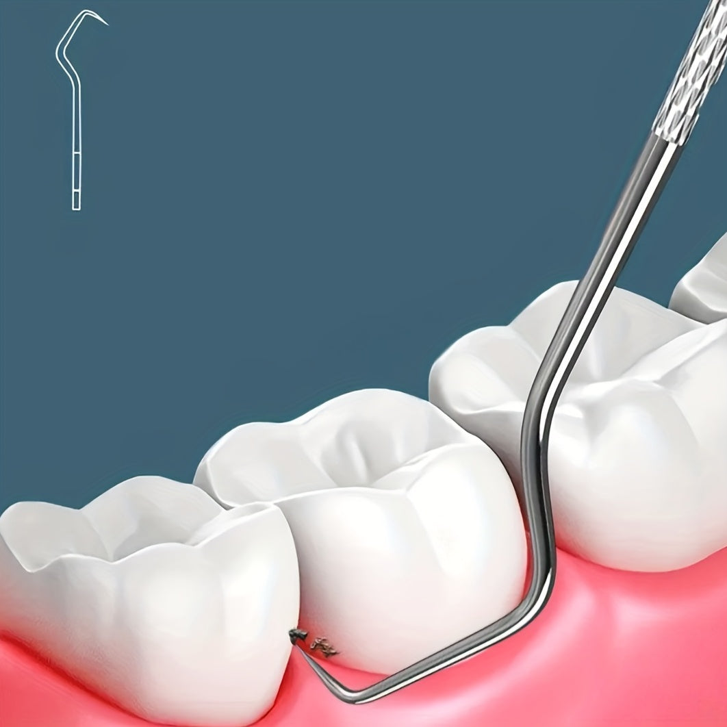 6 Pack Stainless Steel Toothpicks Oral Cleaning Floss Picks with Storage Tube