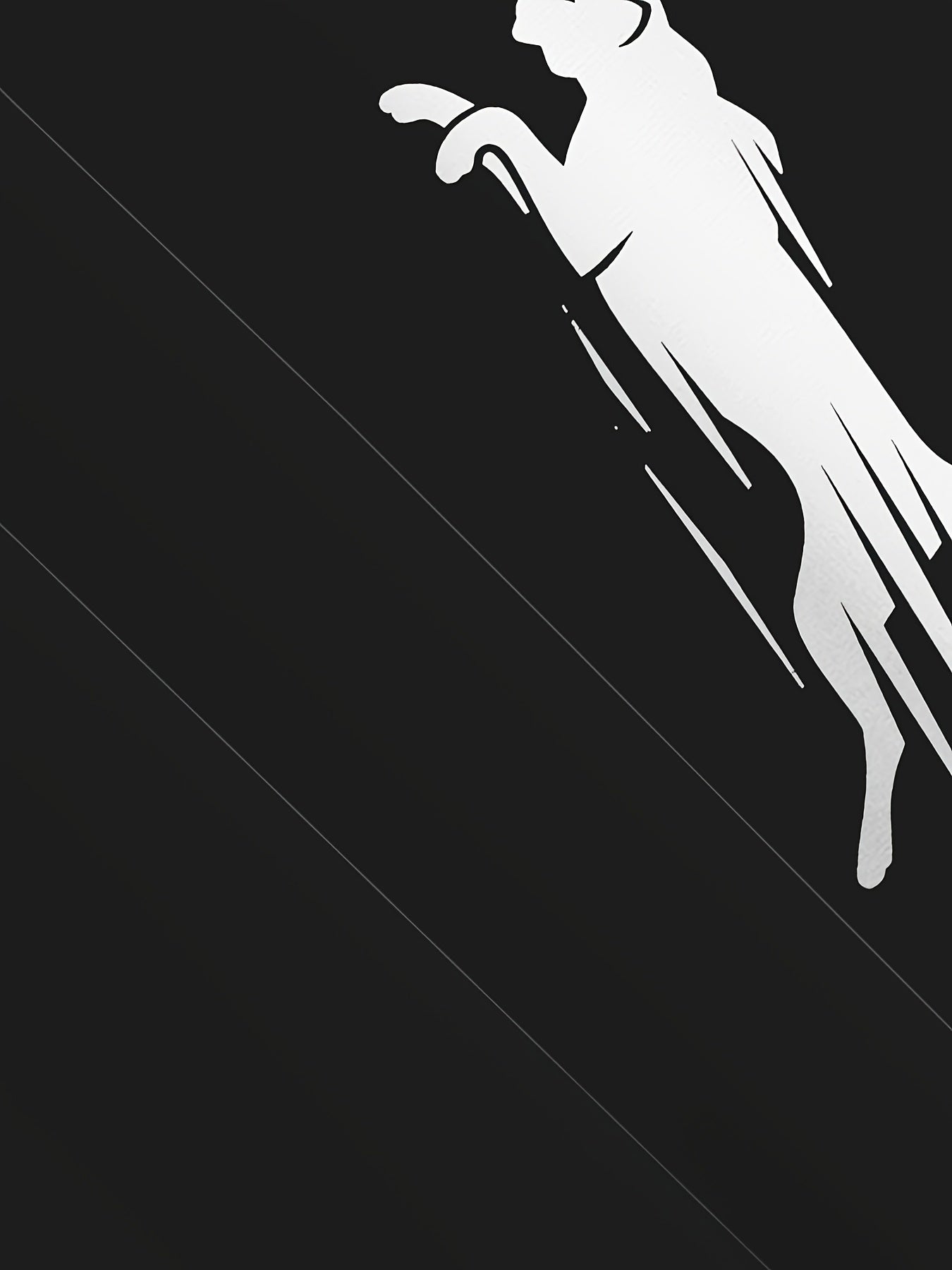 Men's Casual Print Long Sleeve Polyester Outfit