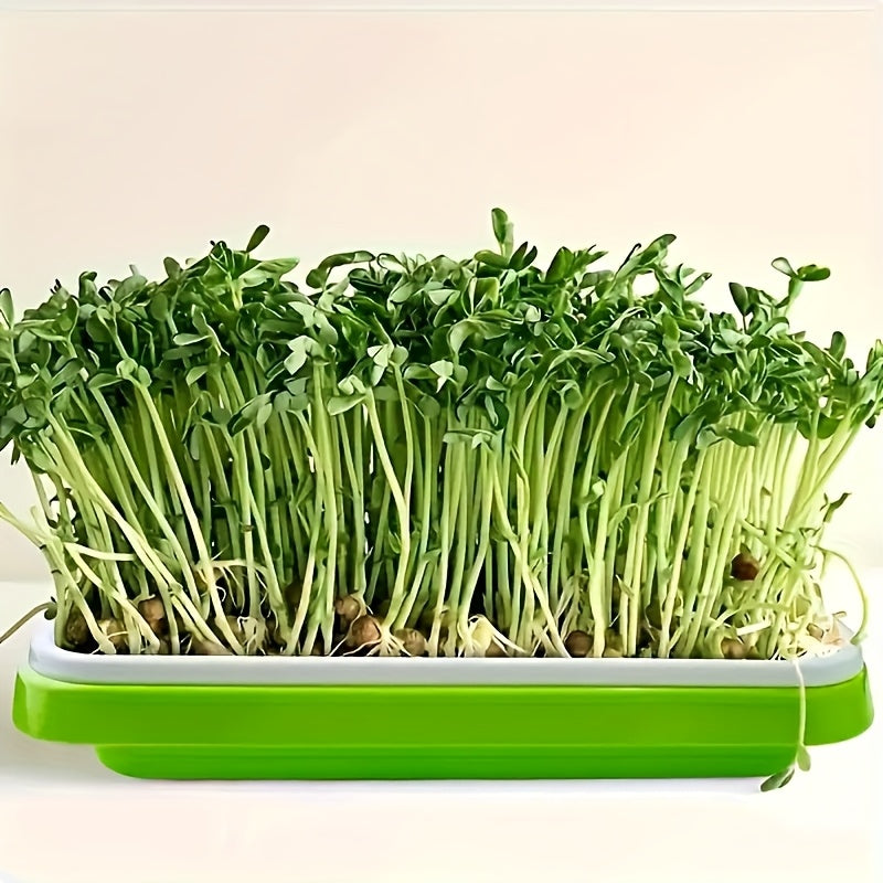 Seed Germination Tray Large Capacity Micro-Green Seedling Kit Soilless for Beans Wheat Grass