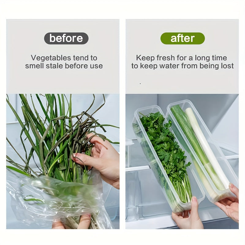 Yashash uchun 6 ta oziq-ovqat saqlash konteynerlari, o'tlar va sabzavotlar uchun, qayta ishlatiladigan plastmassa