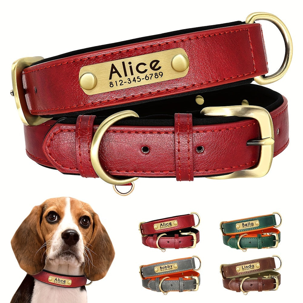 Customized Faux Leather Dog Collar with Neoprene Padding and Nameplate for Small to Medium Dogs