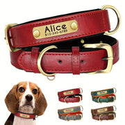 Customized Faux Leather Dog Collar with Neoprene Padding and Nameplate for Small to Medium Dogs