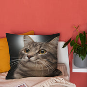 Cat Plush Pillow Cover 45.72x45.72 cm Zippered Machine Washable Short Plush Sofa Bedroom Decor