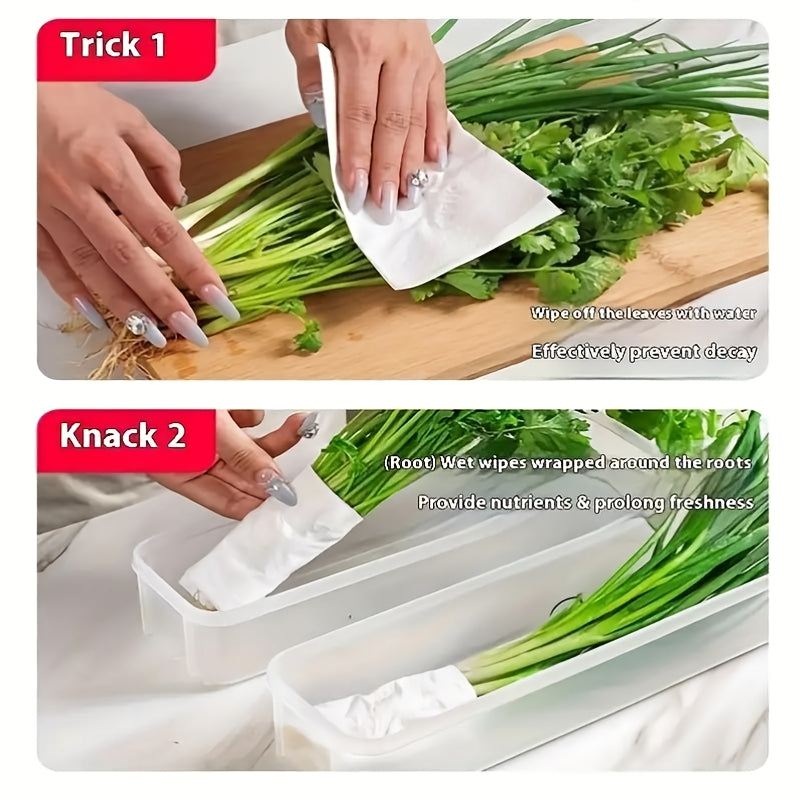 Plastic Food Storage Containers for Herbs Green Onions Mint Leakproof Stackable