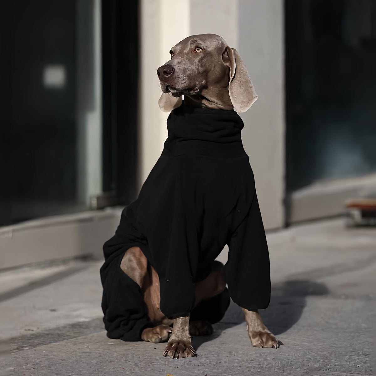 Большой собачий свитер из флиса для зимы, осени и весны, ручная стирка, для золотистых ретриверов и лабрадоров