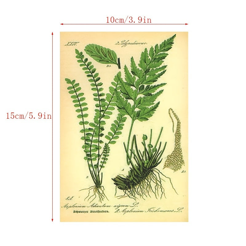 Set of 30 Botanical Wall Stickers Room Decor Cards Animal Print Spring Butterfly Ink Paper