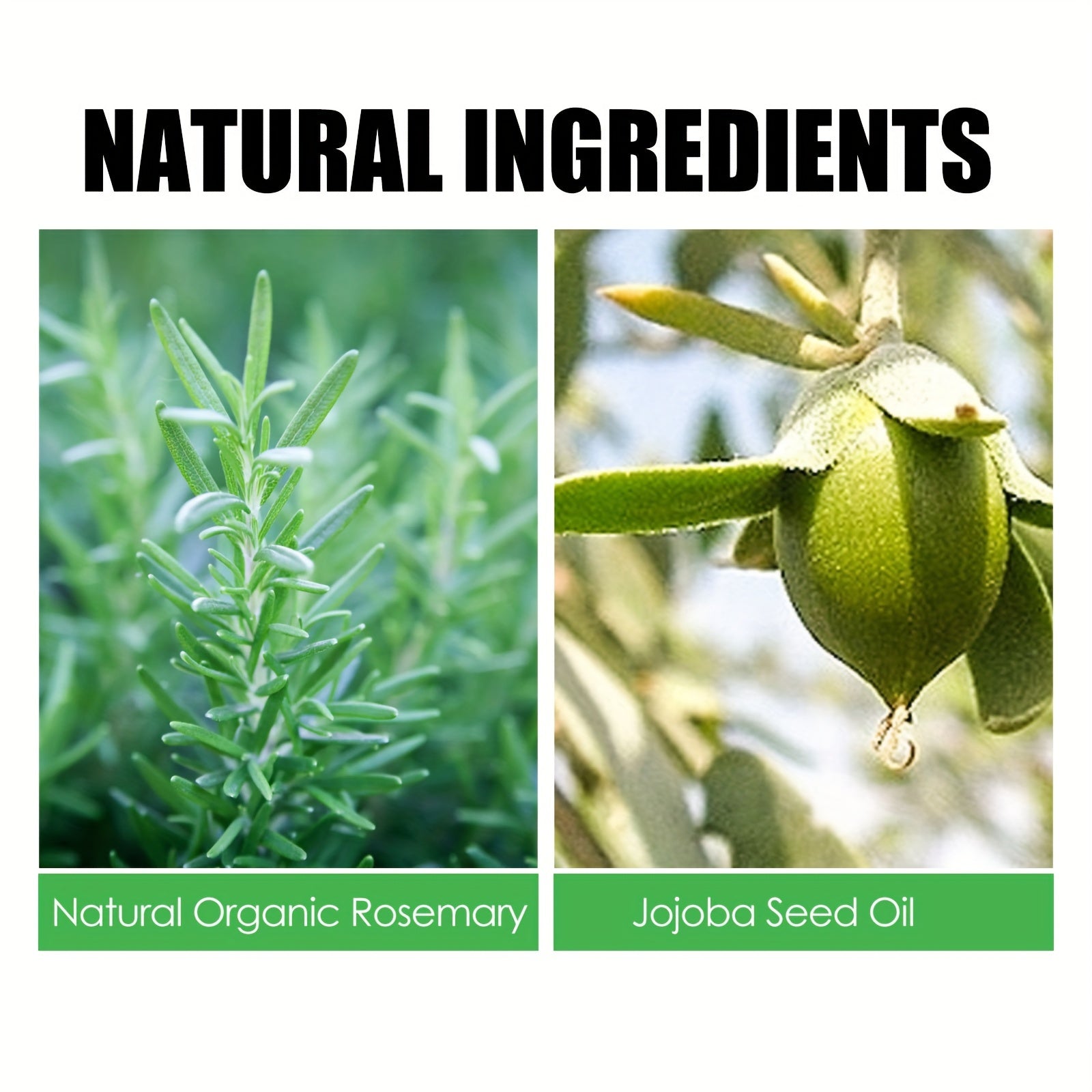 Rosemary Hair Care Set for All Hair Types Moisturizing and Strengthening