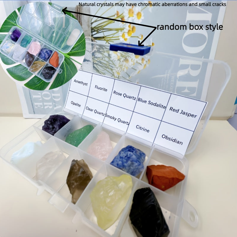 Juego de 10 rocas y minerales naturales en una caja