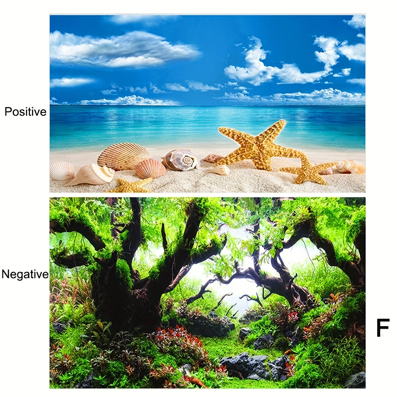 Double-Sided Aquarium Background Paper for Fish Tank Decor Waterproof HD Painting