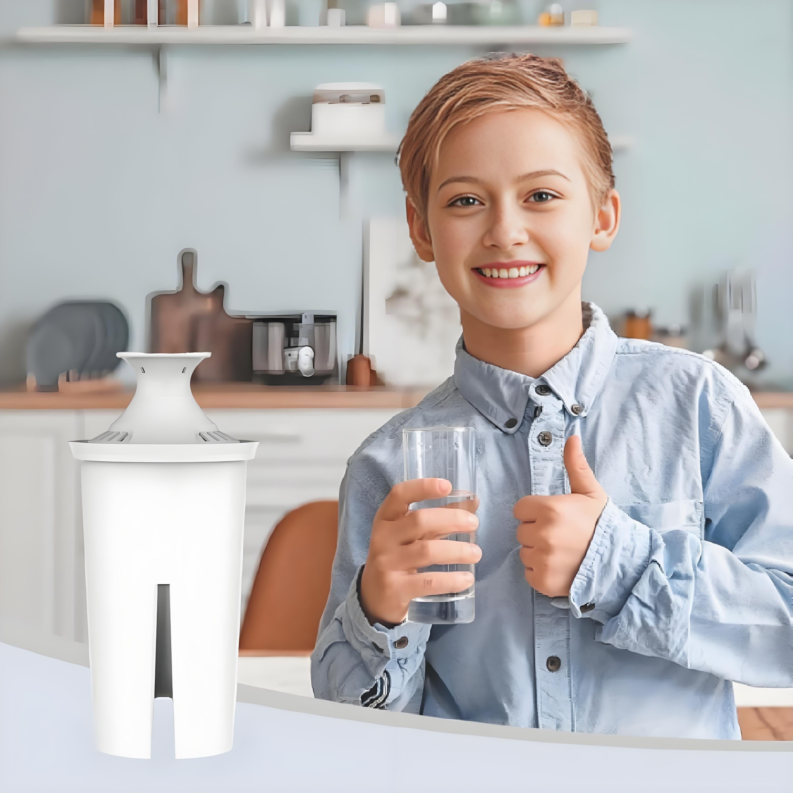 Water Filter Pitcher Replacement 6 Pack NSF Certified for Water Dispensers