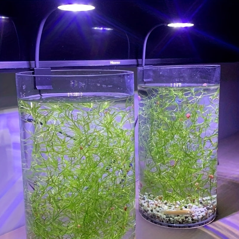 Mini LED Aquarium Clip Light USB Powered High Brightness 360° Rotation for Fish Tanks and Aquatic Plants