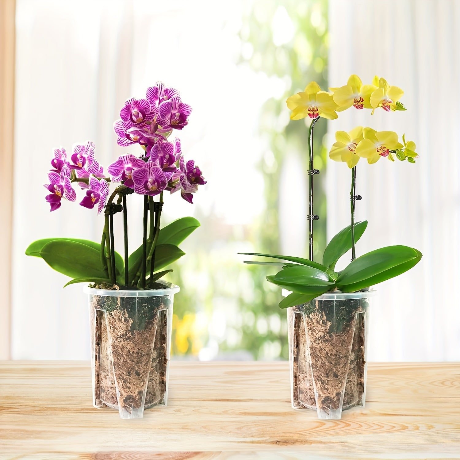 Set of 5 Round Plastic Orchid Pots with Drainage Holes for Indoor Outdoor Use