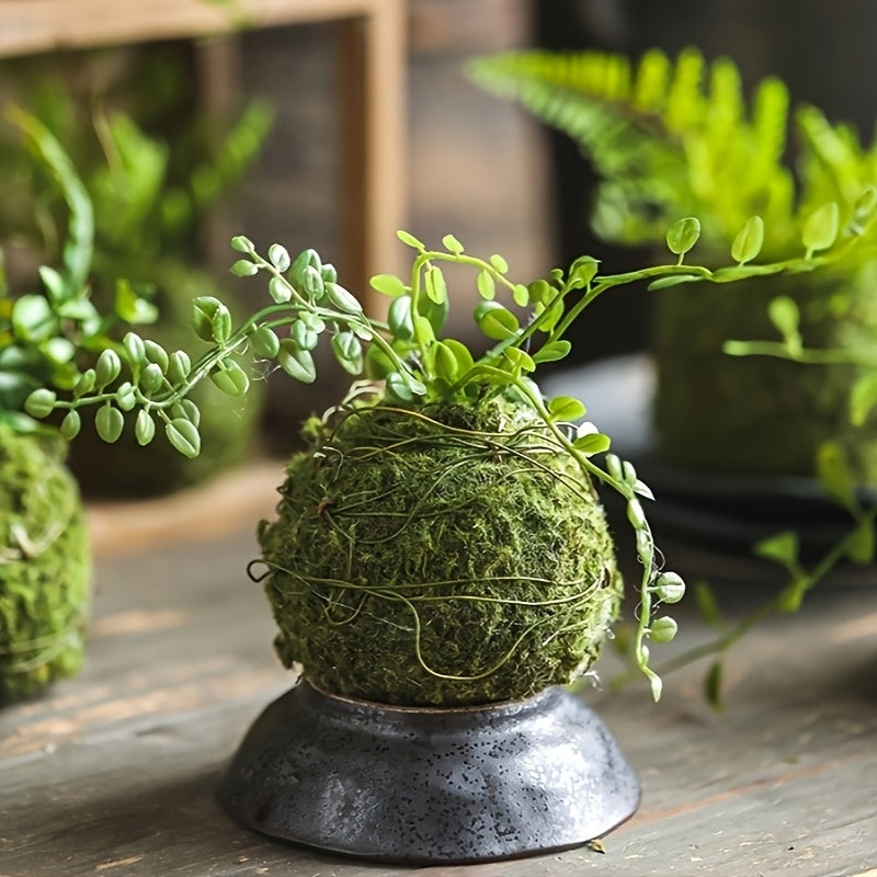 Round Clay Moss Plant Container for Air Plants Succulents Indoor Outdoor