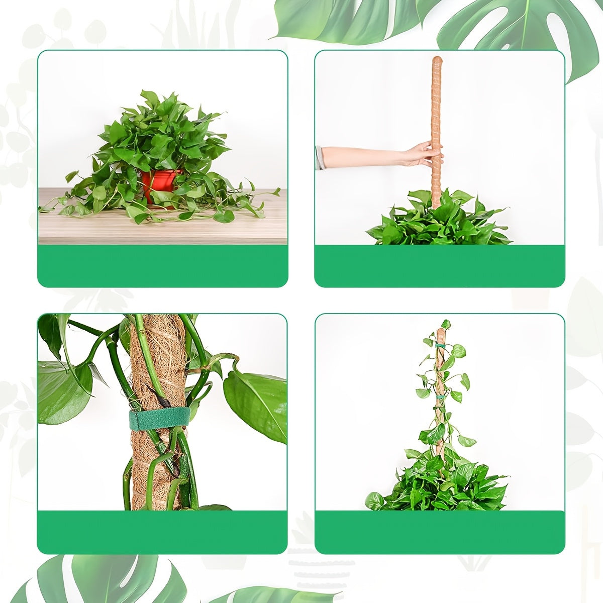 Metal Moss Pole for Monstera Climbing Plants Indoor Support Extension Light Brown