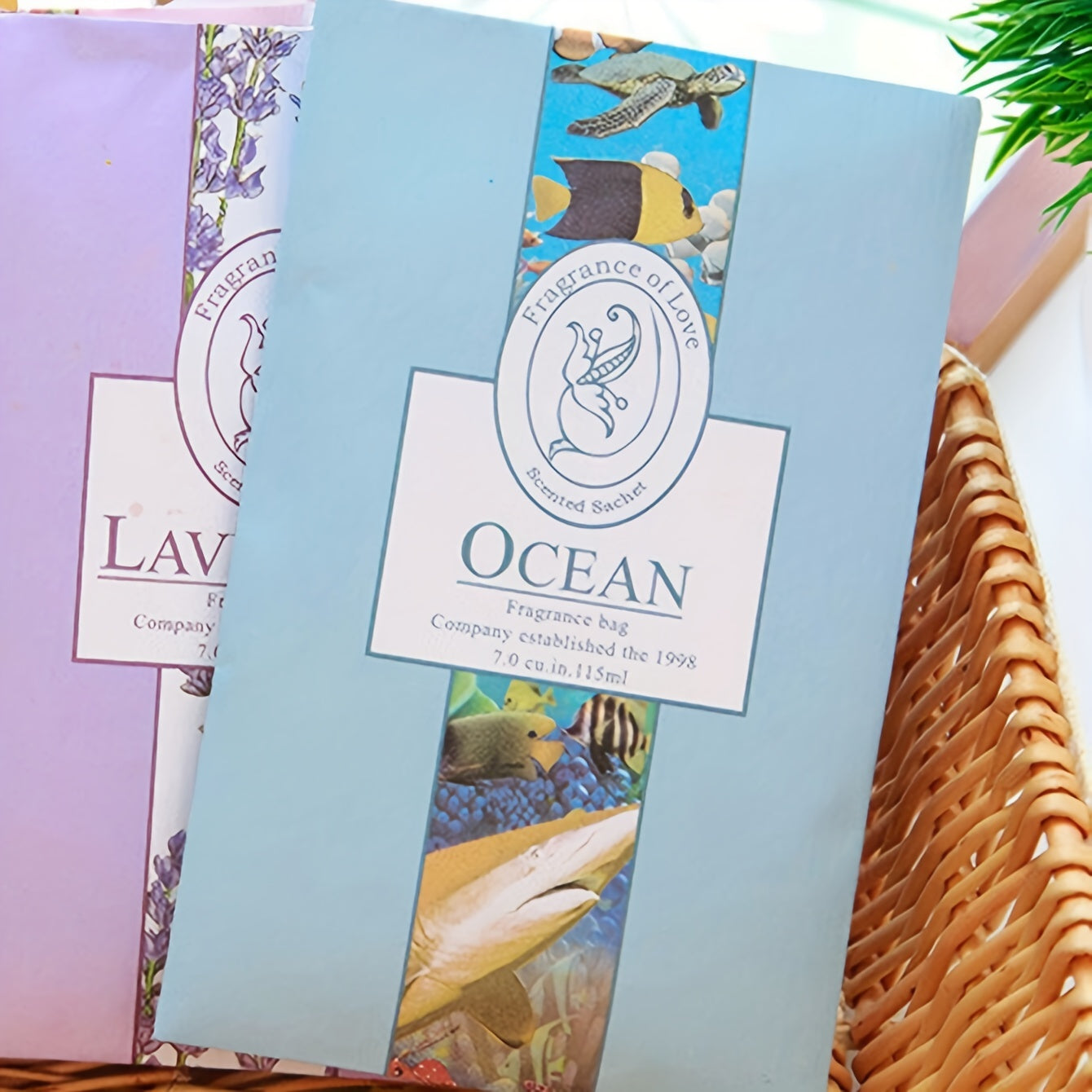 5 dona shkaf uchun hidi yo'qotuvchi hidi yo'qotuvchi hidi yo'qotuvchi hidi yo'qotuvchi portativ qurilmalar